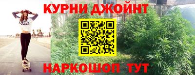 гидра Бийск