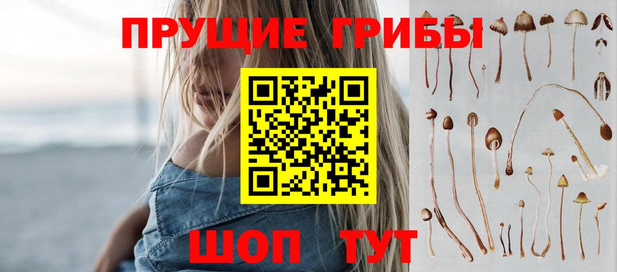 Псилоцибиновые грибы мицелий  Вход с VPN  купить  цена  Кизляр 
